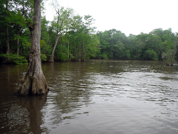 Yellow River 